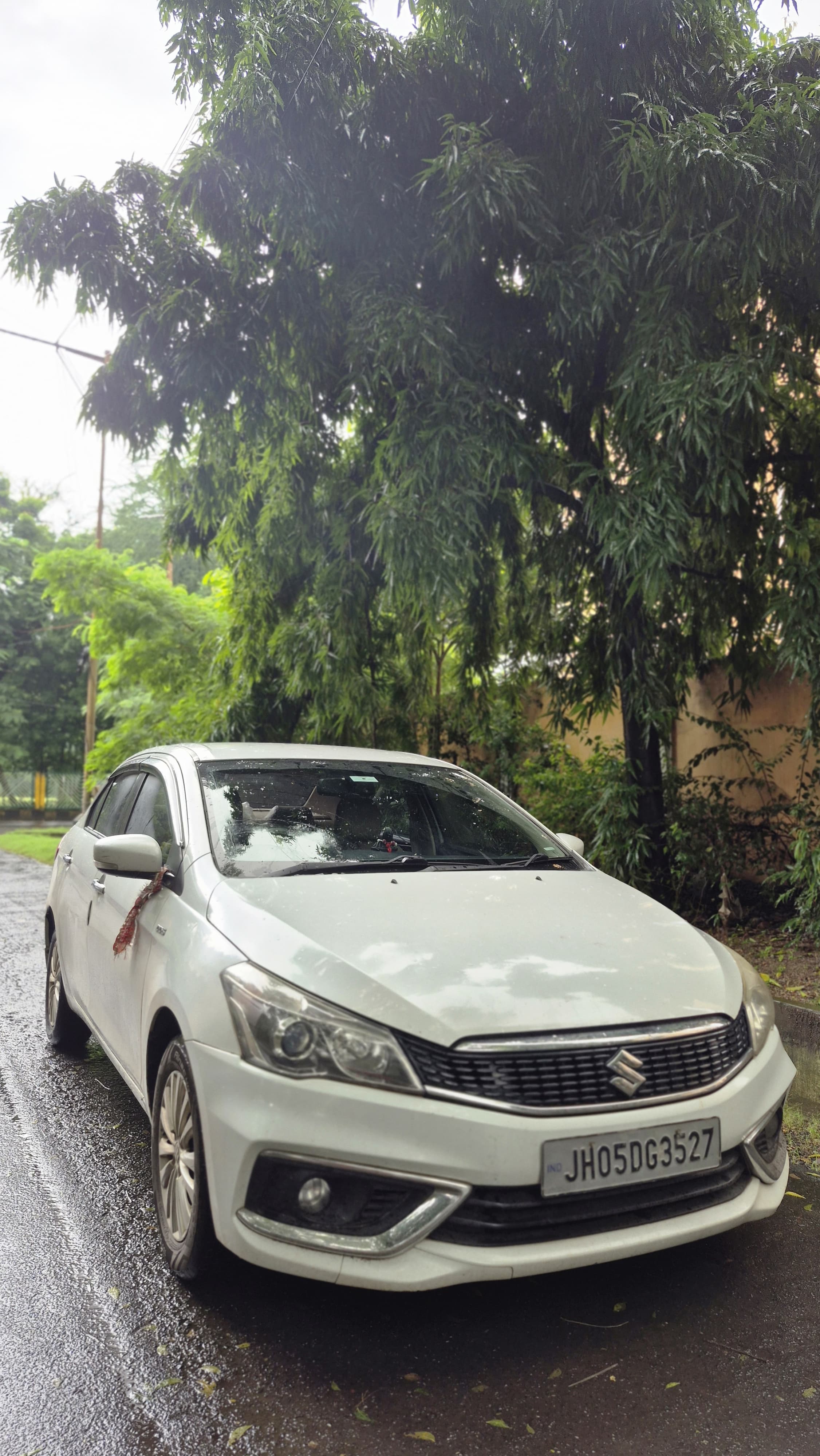 Maruti Suzuki CIAZ
