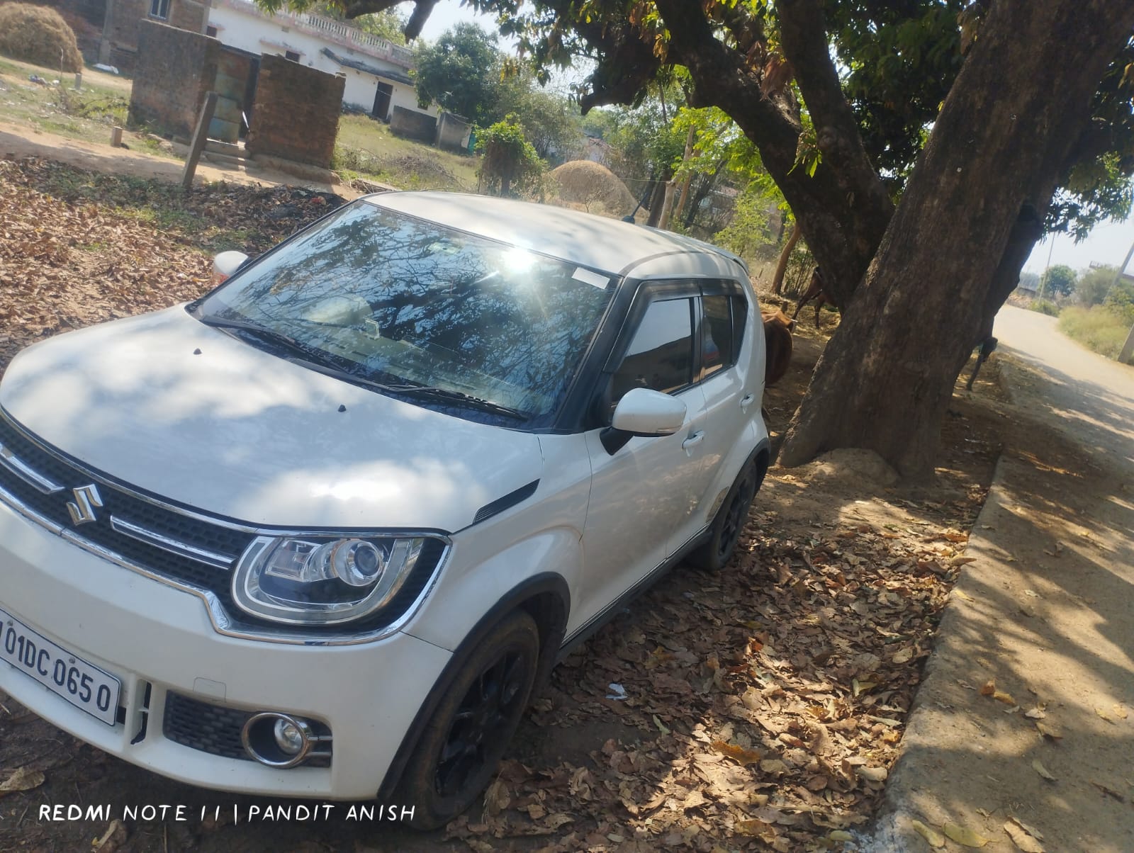 Maruti Suzuki IGNIS ALPHA